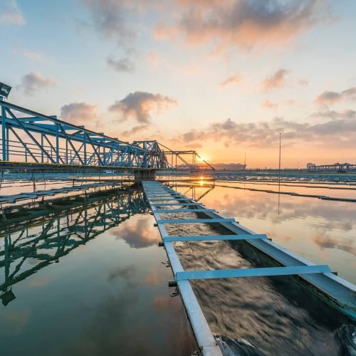 ECO24_AdobeStock_87241733-1-scaled-1-e1748243811372